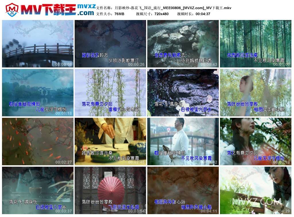 月影映纱-落花飞_国语_流行_MEE00806
